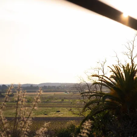 Maison De Charme Et Vue Imprenable A 180 Degres Sur Les Vignes Et Pyrenees * Paraza
