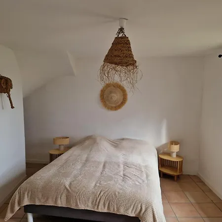 Maison De Charme Et Vue Imprenable A 180 Degres Sur Les Vignes Et Pyrenees Paraza