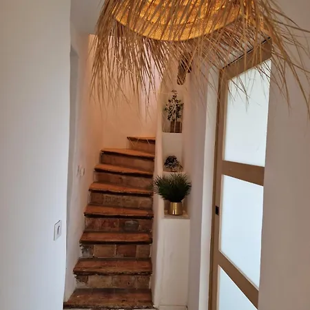 Maison De Charme Et Vue Imprenable A 180 Degres Sur Les Vignes Et Pyrenees * Paraza